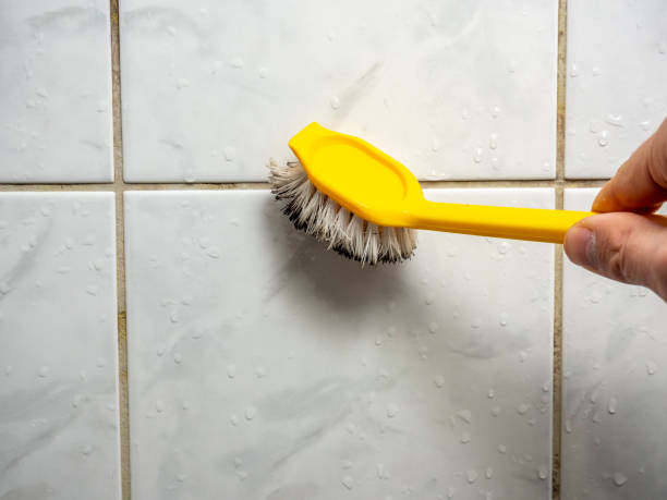 Best Office Mold Removal Services  in Alderson, WV