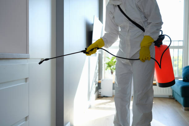 Professional Mold Removal in Alderson, WV