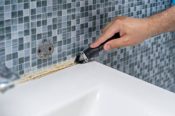 Best Certified Mold Removal  in Alderson, WV