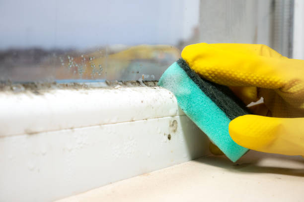 Best Mold Cleaning Services  in Alderson, WV